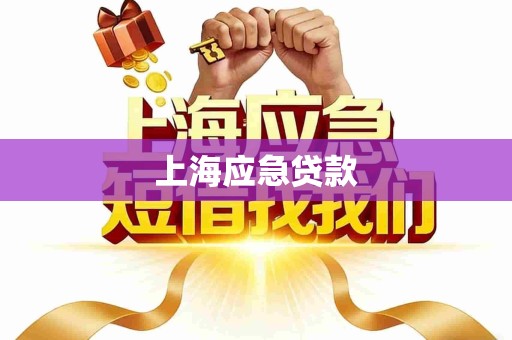 上海应急贷款