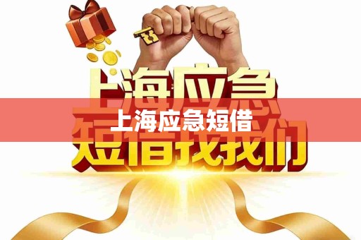 上海应急短借