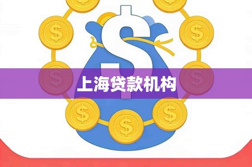 上海贷款机构